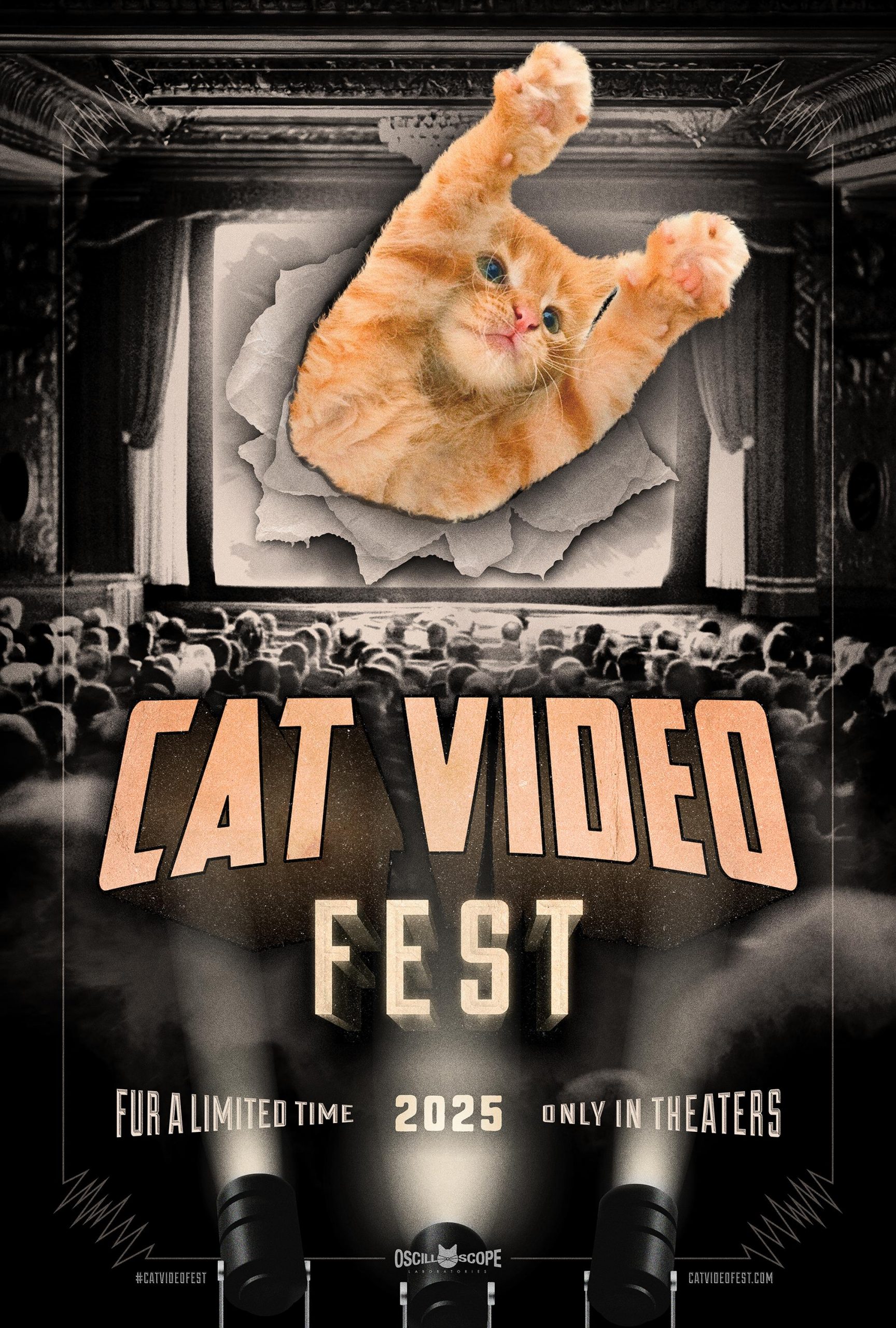 CatVideoFest 2025