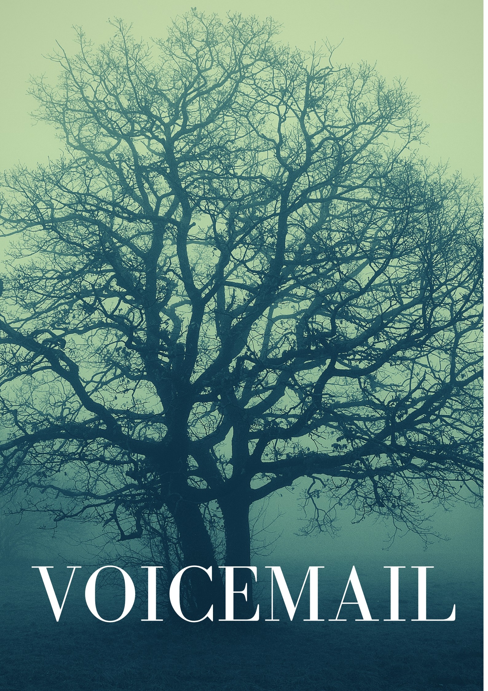 Voicemail
